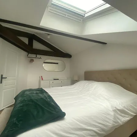 La D'emile - Parc Ste Marie - Thermal Appartement Nancy